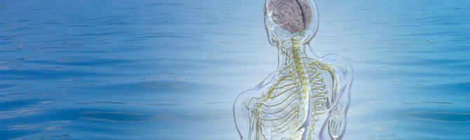 pact-craniosacral-therapy WhatIsBiodynamic